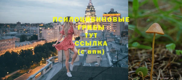 экстази Липки